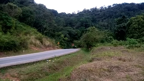 Nature View Stock Footage 226260112