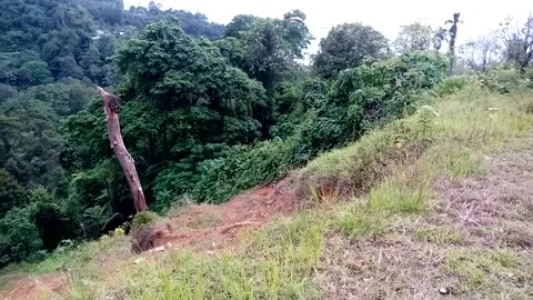 Nature View Stock Footage 226260162