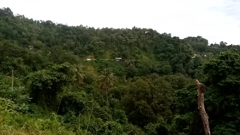 Nature View Video stock 226260163