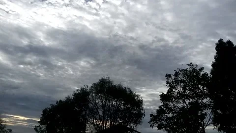 Nature View Video stock 226260258