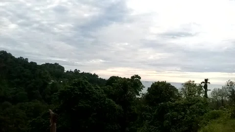 Nature View Stock Footage 226260339