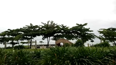 Nature View Stock Footage 226261005