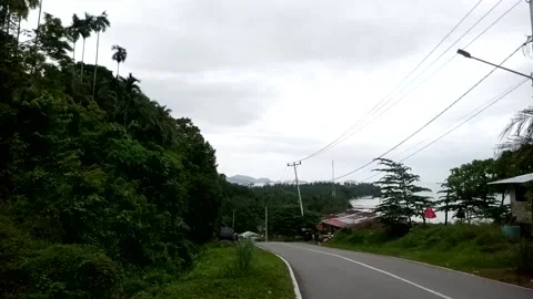 Nature View Stock Footage 226261221