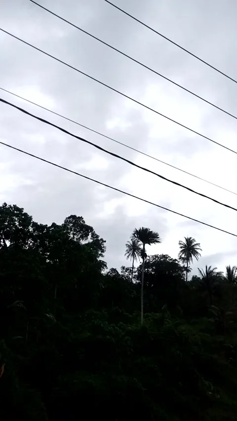 Nature View Stock Footage 226261355