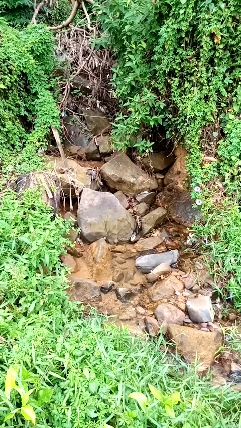 Nature View Stock Footage 226261409