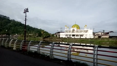 Nature View Stock Footage 226262442