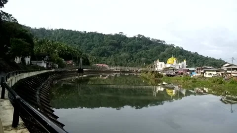 Nature View Stock Footage 226262531