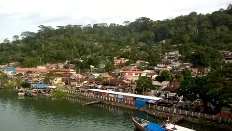 Nature View Stock Footage 227774754