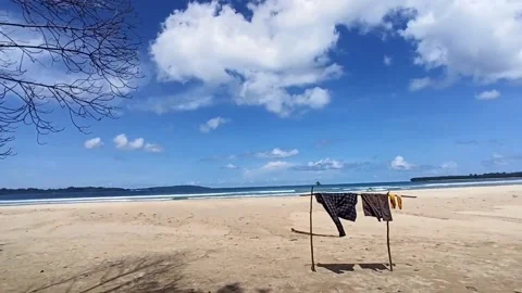 Nature View 動画素材 227844673