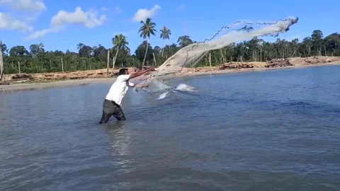 Nature View 動画素材 228423303