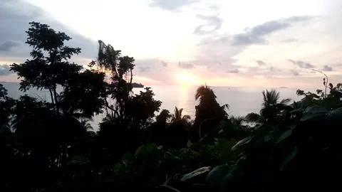 Nature View Stock Footage 229191250