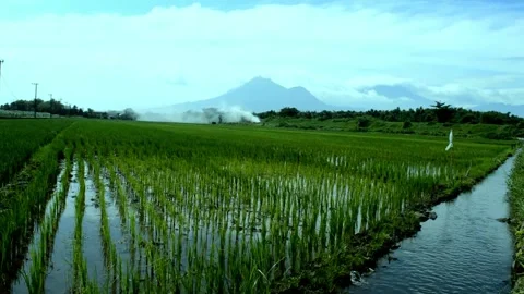 Nature view Stock Footage 229602951