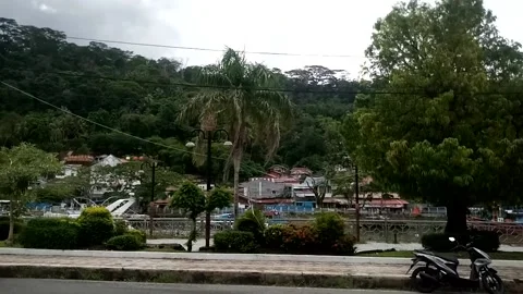 Nature View Stock Footage 231168531