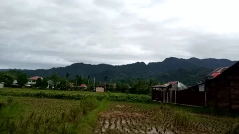 Nature View Stock Footage 231199925