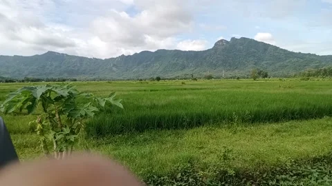 Nature view Stock Footage 234849526