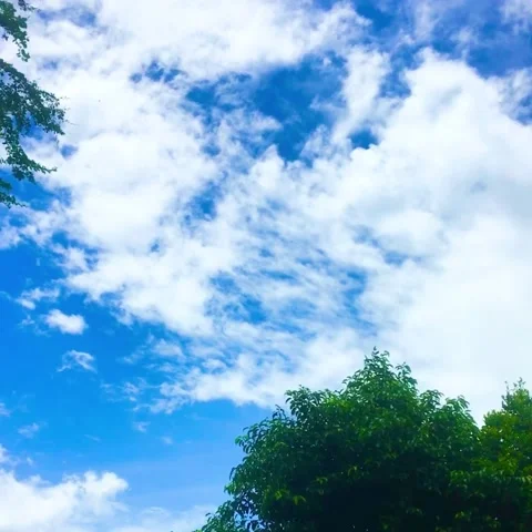 Nature view Vídeos de archivo 235660145