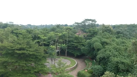 Nature view Video stock 239918075