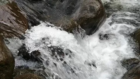 Nature view Stock Footage 241226107