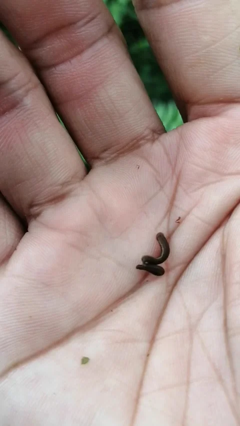 Nature view Stock Footage 241226428