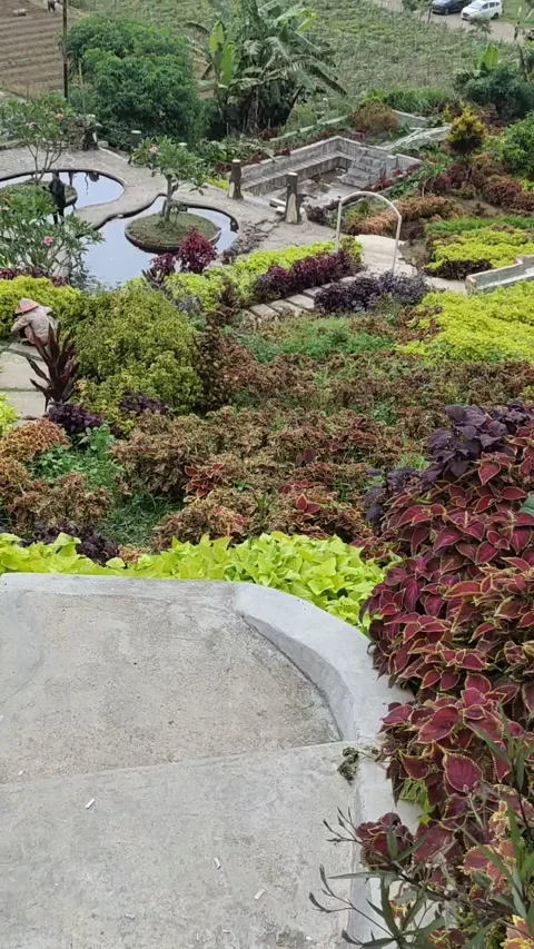 Nature view Stock Footage 241891439