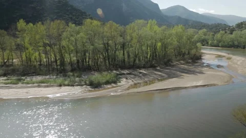 Nature view Video stock 262462057