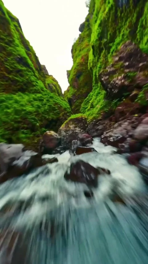 Nature view Stock Footage 268540322