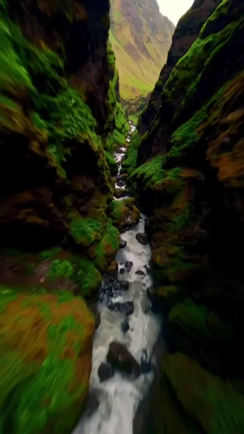 Nature view Stock Footage 268540390