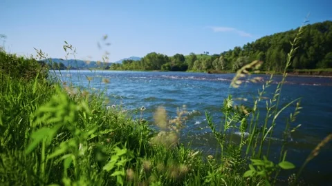 Nature view from grassy foreground overlooking serene river Vidéo 333514725