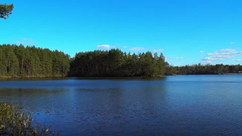 Nature view of a lake surrounded by trees in a forest during the day in a clear Vidéo 338430923