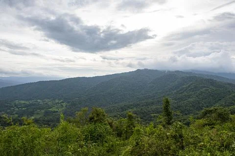 Nature view landscape mountain forest tree countryside of Thailand Stock Photos