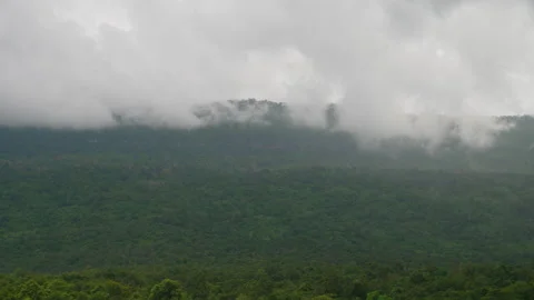 Nature view landscape river and sky background  Stock Footage 221603802