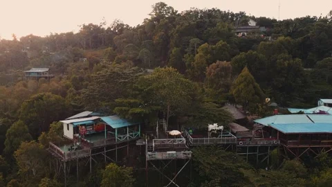 Nature View Of Papua Stock Footage 267926054