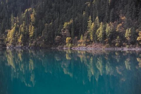 Nature View Fotos Stock