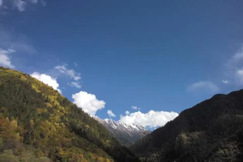 Nature View Stock Photos