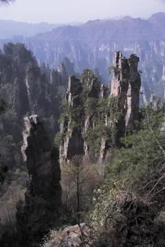 Nature View Stock Photos