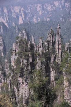 Nature View 스톡 사진