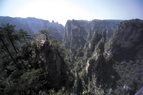 Nature View 写真素材