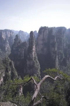 Nature View Stock Photos