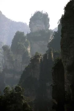 Nature View Stock Photos