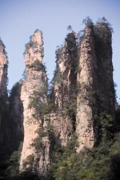 Nature View Fotos Stock