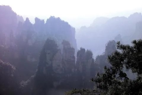 Nature View Stock Photos