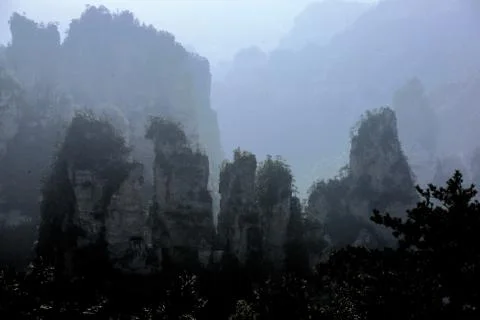 Nature View Stock Photos