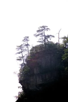 Nature View Stock Photos