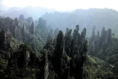 Nature View 스톡 사진