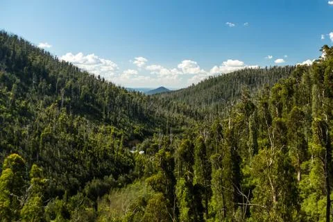 Nature view Stock Photos