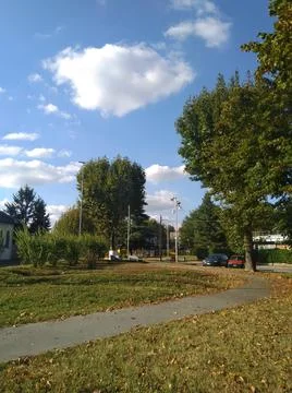 Nature view 库存照片