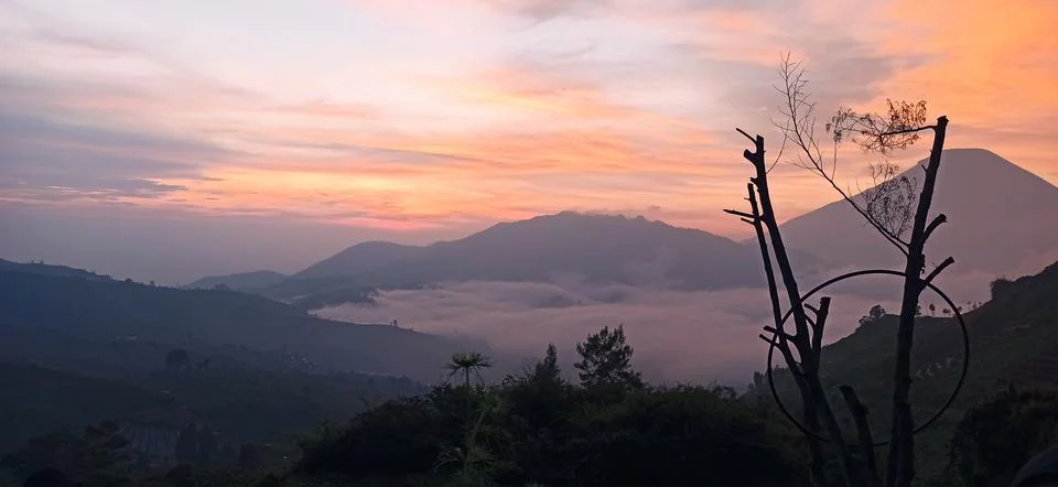Nature View 스톡 사진