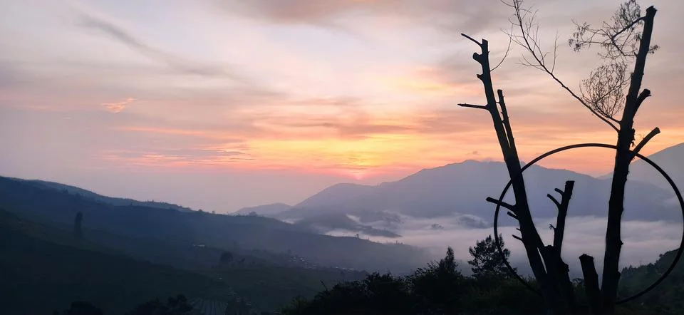 Nature View 스톡 사진