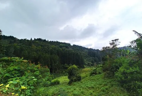 Nature View 스톡 사진