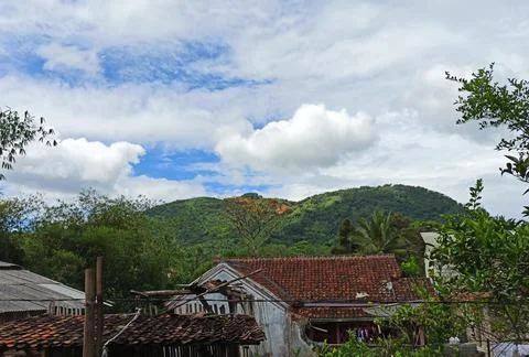 Nature View 스톡 사진